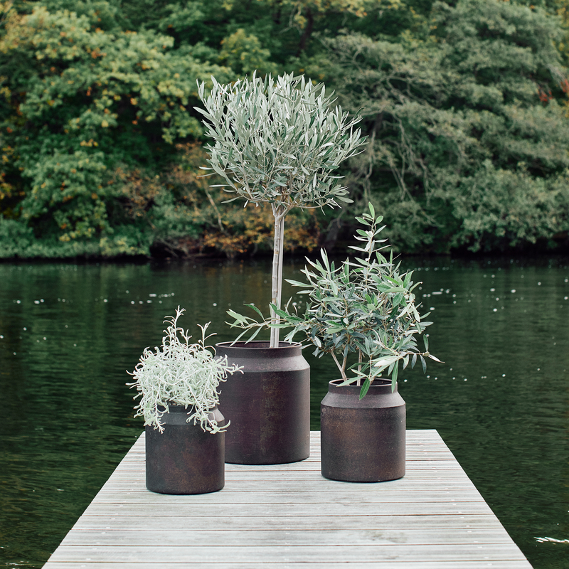 MUUBS Krukke Sai 34 - Rust - Billede 2