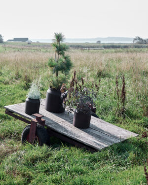 MUUBS Krukke Sai 23 - Rust