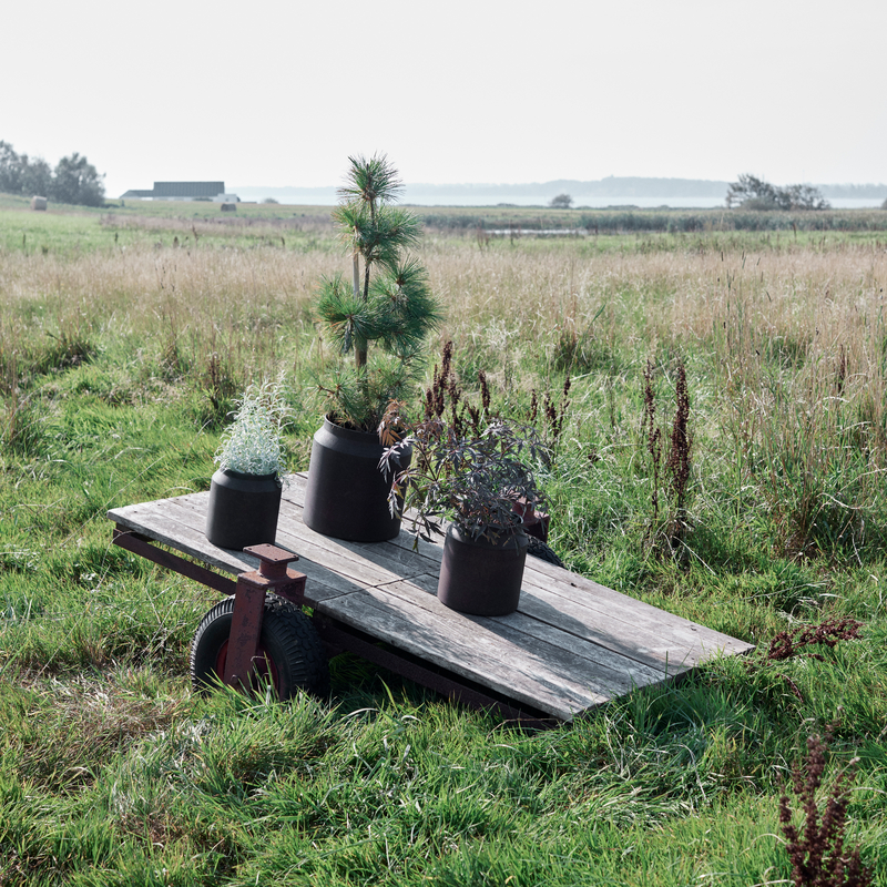 MUUBS Krukke Sai 34 - Rust - Billede 3