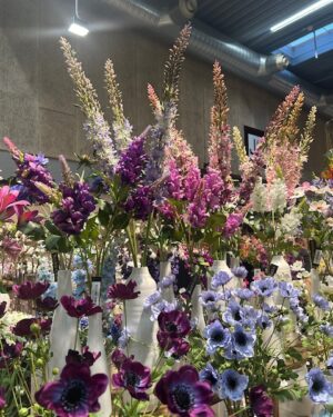 Blomster