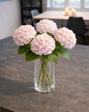 Evigheds Hortensia - lyserød