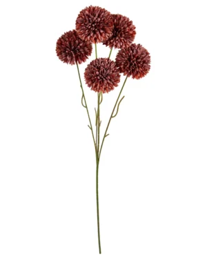 Kugle krysantemum stilk