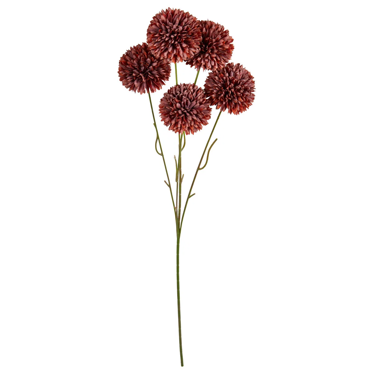Kugle krysantemum stilk