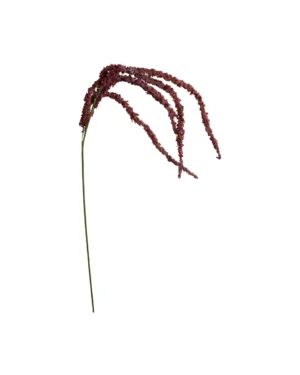 Rævehale stilk 115 cm